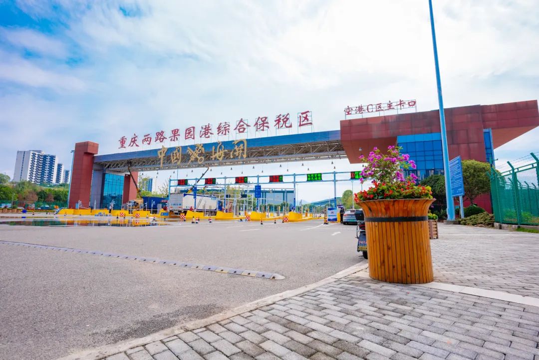 &#20048;&#40060;